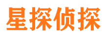 绿园侦探公司